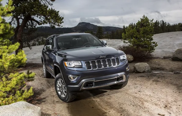 Machine, auto, jeep, SUV, Jeep, Grand Cherokee, Jeep Grand Cherokee