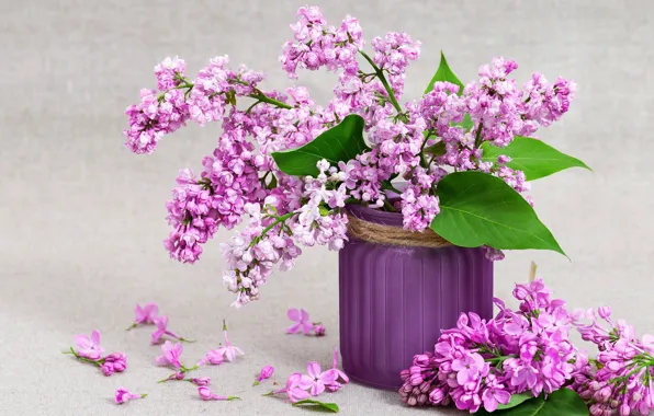 Picture background, still life, lilac