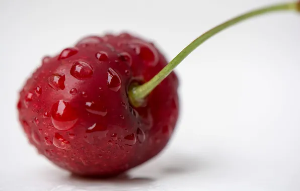 Red, berries, ripe