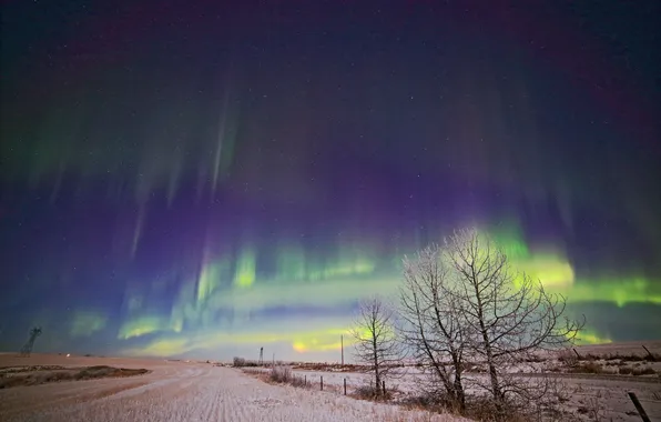 Winter, snow, landscape, Northern lights