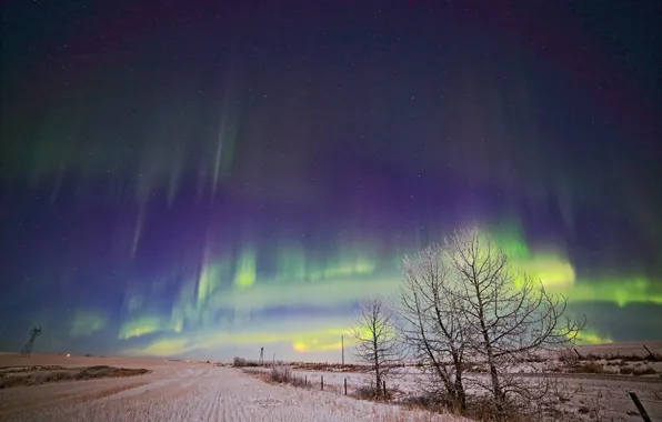 Picture winter, snow, landscape, Northern lights