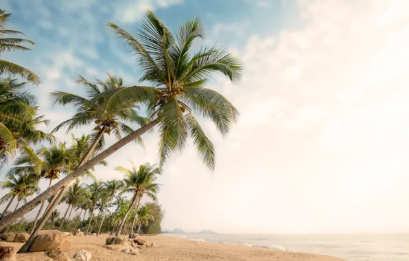 Sand, sea, wave, beach, summer, palm trees, shore, summer
