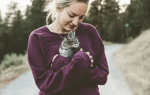 Picture road, girl, kitty