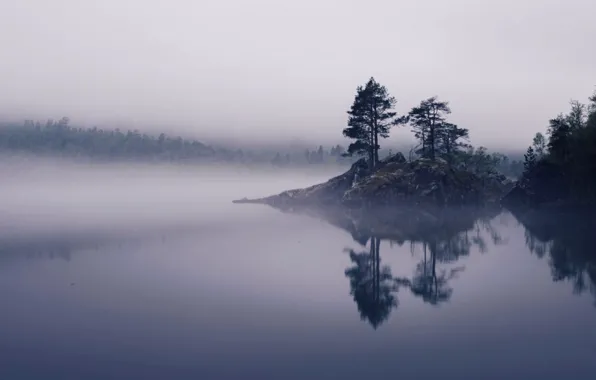 Picture trees, fog, lake, Norway, Innerdalshytta