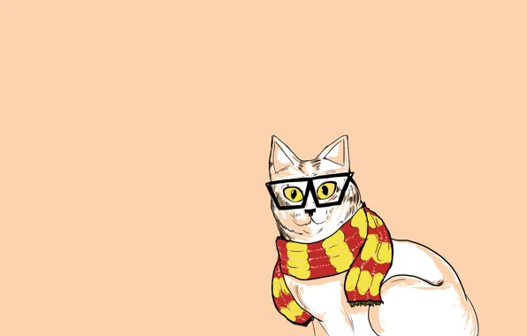 Cat, cat, minimalism, scarf, glasses, hipster