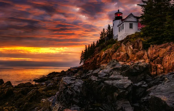 Clouds, trees, rocks, lighthouse, the evening, glow, USA, Hancock
