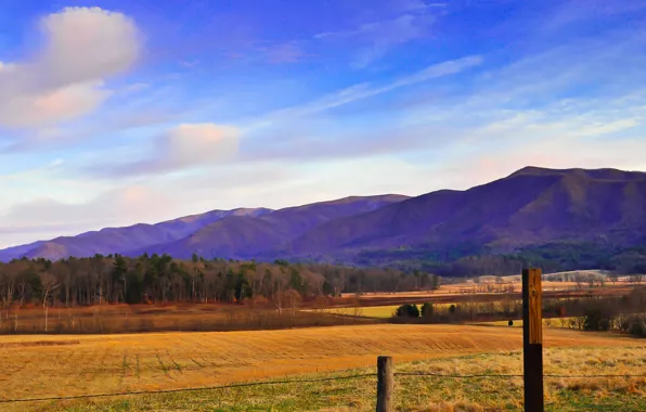 Picture field, the sky, clouds, trees, mountains