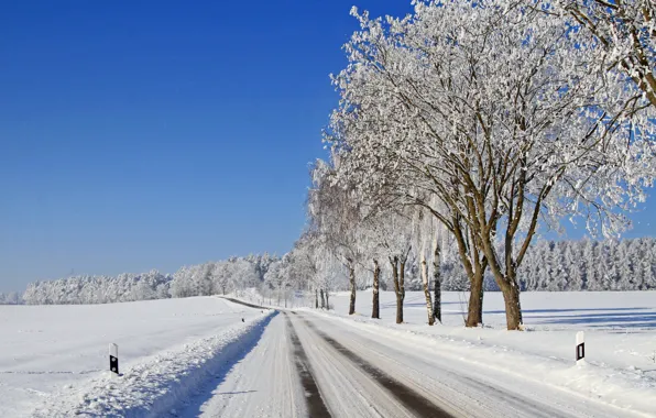 Picture winter, frost, road, forest, the sky, snow, trees, frost