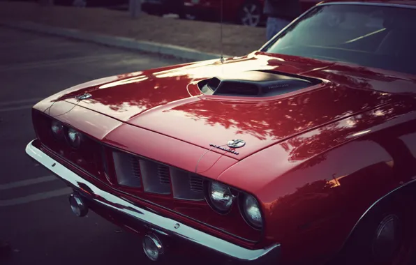 Picture vintage, muscle car, classic, plymouth, Hemi CUDA