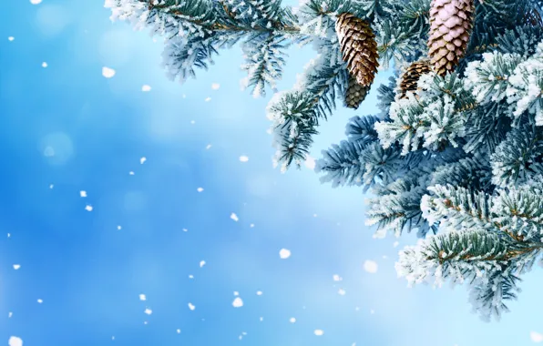 Winter, snow, snowflakes, tree, bumps, nature, winter, snow