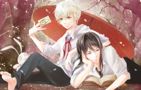 Trees, hare, map, umbrella, book, guys, K Project, Yatogami Kuroh