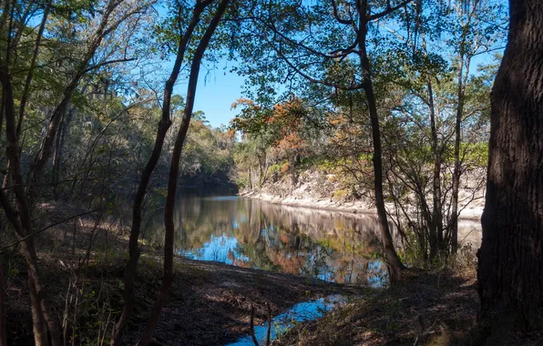 Autumn, forest, the sky, trees, river, duct