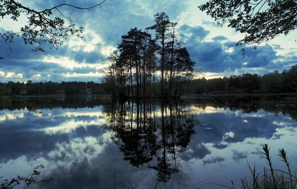The sky, clouds, trees, lake, the evening