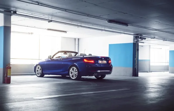 Picture BMW, German, Car, Blue, Cabriolet, Garage, Rear, 220D