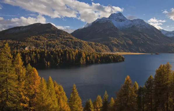 Autumn, forest, trees, mountains, lake, Switzerland, Alps, Switzerland