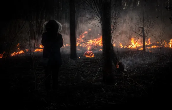 Picture forest, look, girl, nature, the fire, pumpkin, fire, girl