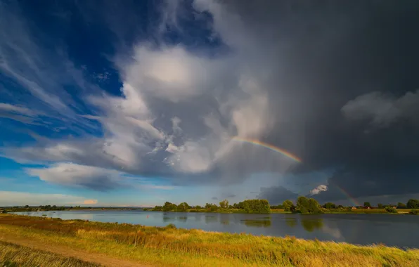 Field, summer, the sky, grass, clouds, trees, nature, river