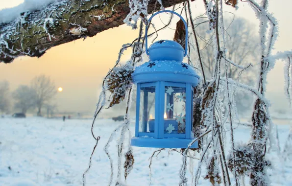 Winter, snow, trees, nature, lantern