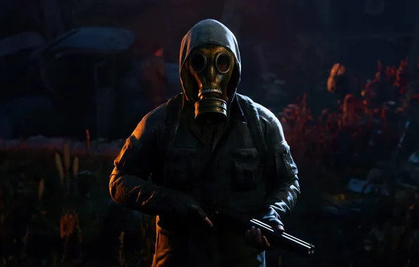 Games, STALKER 2, Heart of Chornobyl