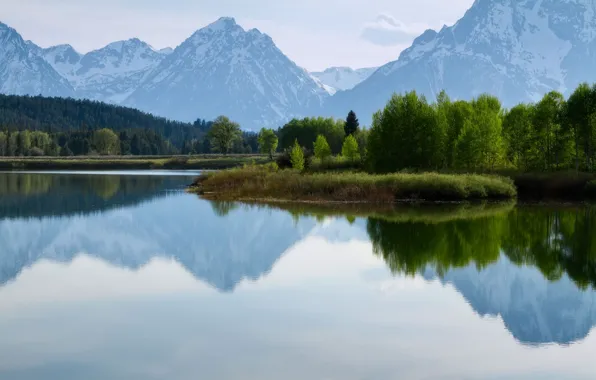 Trees, mountains, nature, lake, Yellowstone National Park
