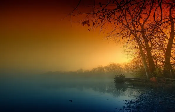 Landscape, nature, fog, river, shore, morning