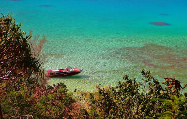 The ocean, shore, boat, Laguna