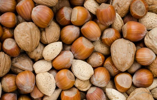 Nuts, almonds, hazelnuts, walnut