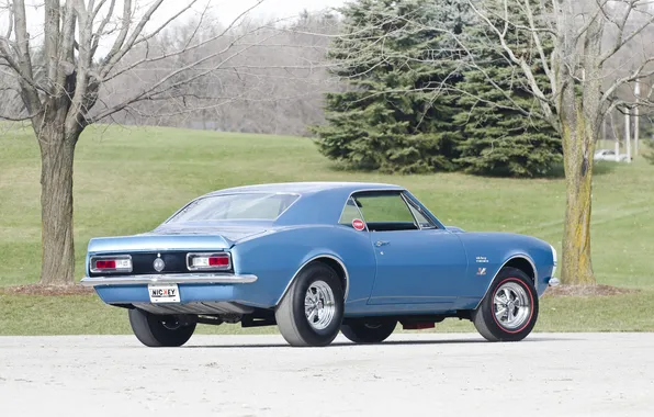 Retro, coupe, Chevrolet, Camaro, sports car, coupe, 1967, 427