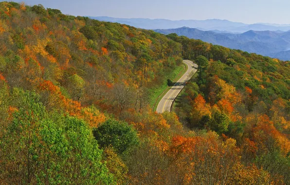 Road, autumn, forest, the sky, trees, mountains, nature, foliage