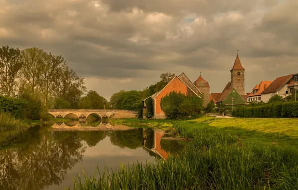 Greens, the sky, grass, clouds, light, trees, lake, pond