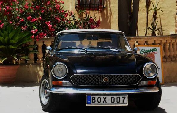 The hood, fiat, Fiat 124