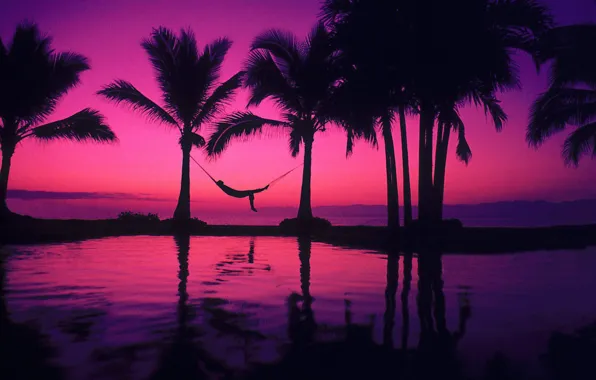 Pool, beach, man, mood, pleasure, palms, hammock, purple sunset