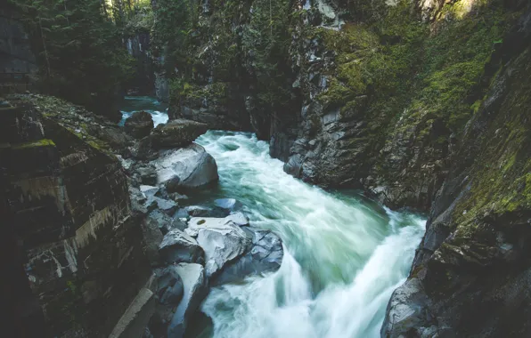 Picture Blue, Water, River, Flow, Moss, Cliffs