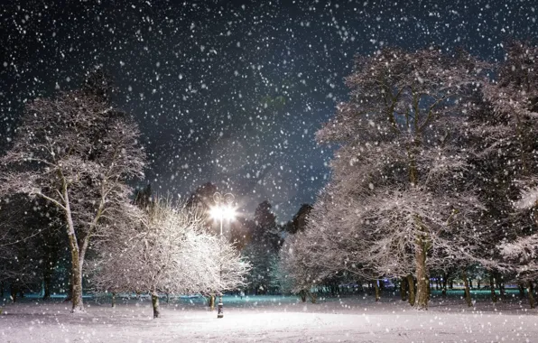Winter, snow, trees, night, Park, lantern