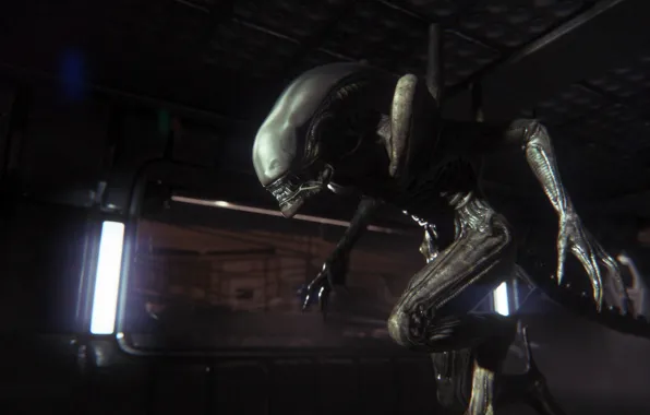 Darkness, stranger, alien, alien, sega, xenomorph, Creative Assembly, Survival Horror