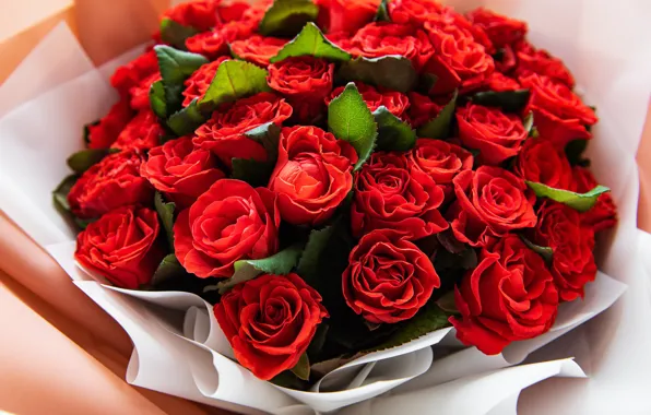 Picture flowers, red, roses, bouquet, beautiful, buds