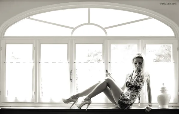 Picture girl, dress, b/W, window, legs, beautiful, photographer, sitting