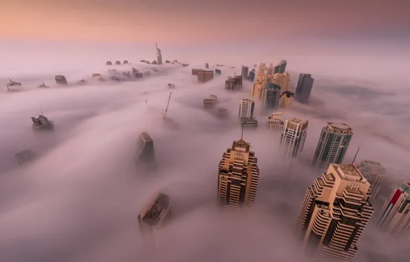 The city, fog, home, Dubai, UAE, the top