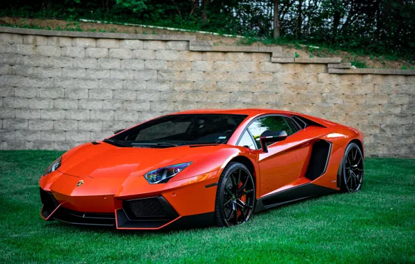 Picture green, lamborghini, orange, aventador, lawn