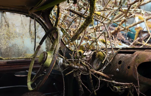 Machine, branches, the wheel