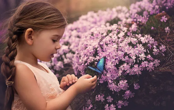 Desktop, Light, Orange, Blue, Little, Cute, Dress, Butterfly