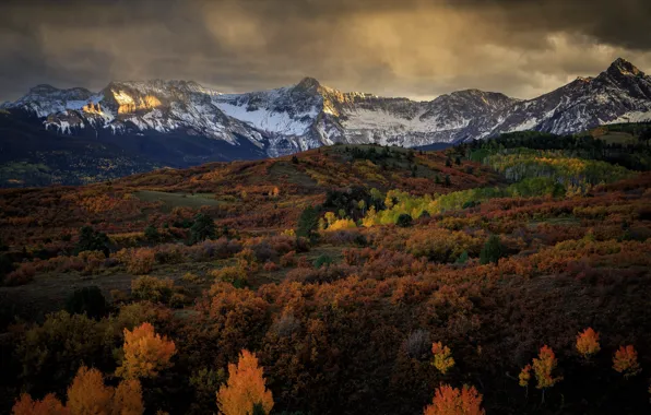 Picture forest, the sky, trees, sunset, mountains, clouds, lake