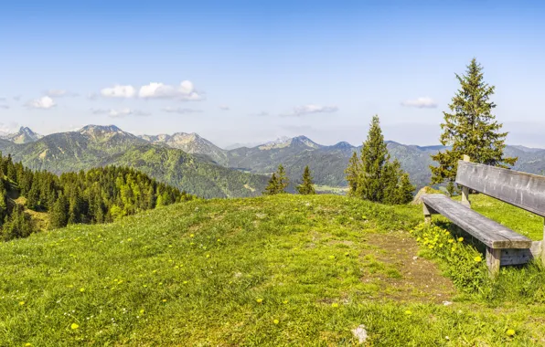 Nature, Mountain, Forest, Landscape, Top, Shop