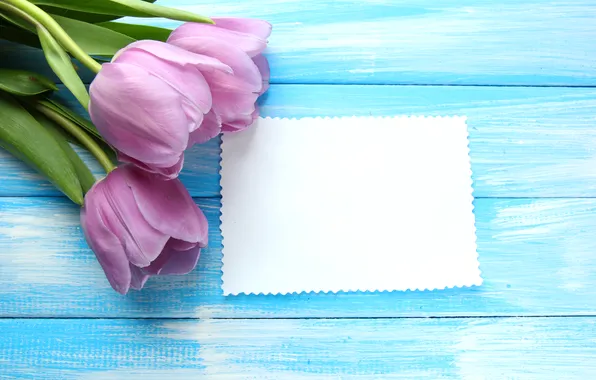 Flowers, bouquet, tulips, wood, flowers, tulips, postcard, spring