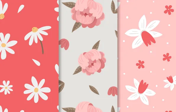 Picture flowers, chamomile, texture, pink, patterns, peonies, spring
