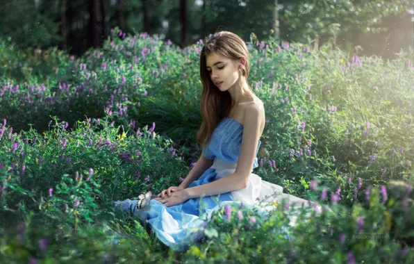 Picture field, summer, girl, flowers, nature, sweetheart, dress, Arbuzov Vilina