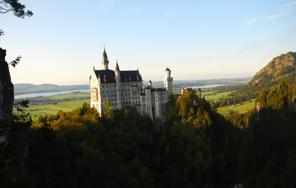Picture forest, Germany, Castel