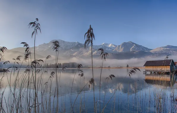 Fog, lake, morning, Germany, Bayern, Bavaria, Lake Eichsee
