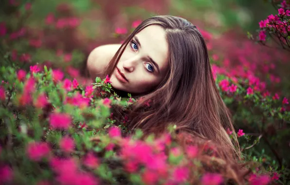 Wallpaper look, girl, flowers, portrait, makeup, hairstyle, brown hair ...