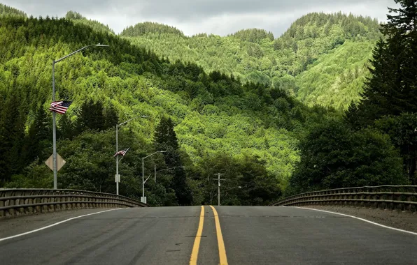 Road, Forest, Oregon, Hills, America, United States, Oregon, Road
